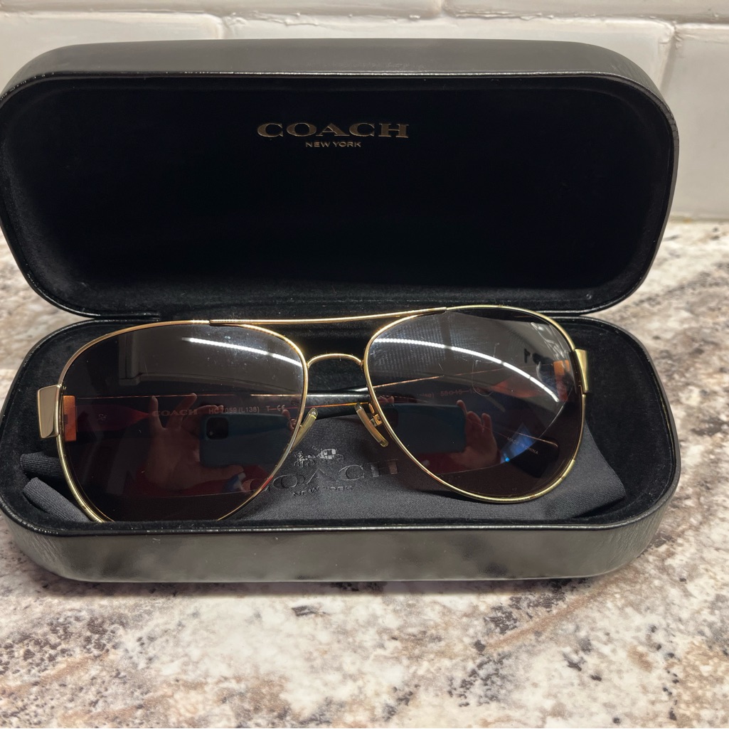Coach Horse And Carriage Aviator Sunglasses In Gold/Tortoise Style No Hc7059